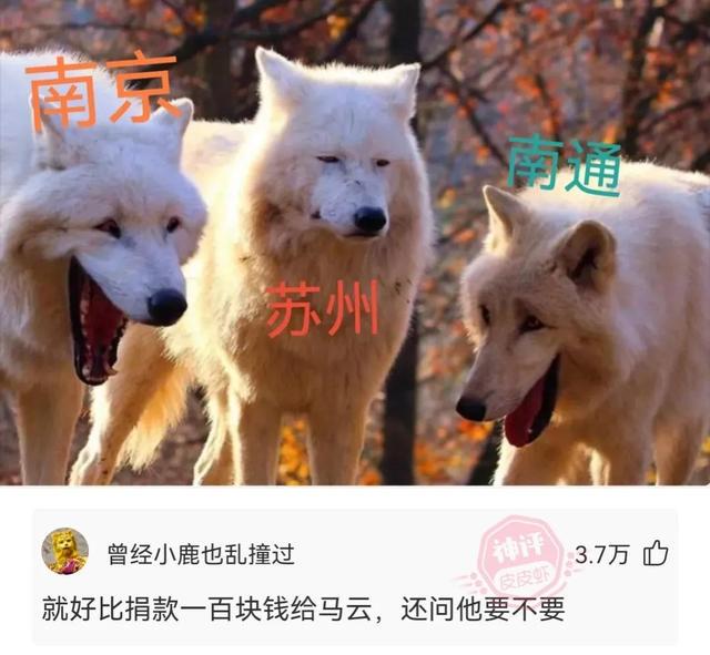神回复,假如我是你的前女友,把你想说的话说出来吧 神回复,假如我是你的前女友,把你想说的话说出来吧
