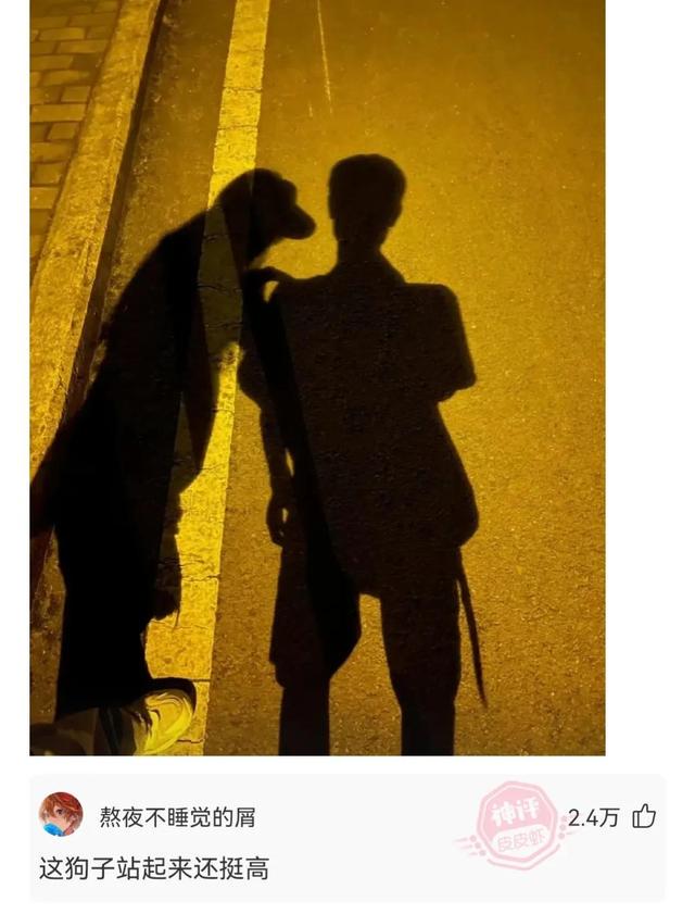 神回复,假如我是你的前女友,把你想说的话说出来吧 神回复,假如我是你的前女友,把你想说的话说出来吧