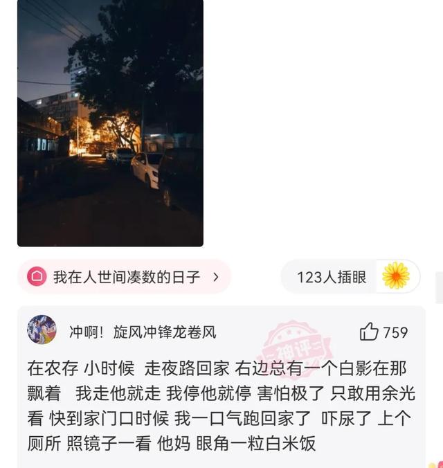 神回复，假如我是你的前女友，把你想说的话说出来吧