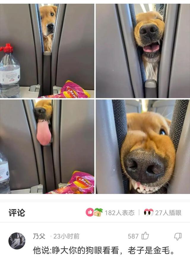 神回复,假如我是你的前女友,把你想说的话说出来吧 神回复,假如我是你的前女友,把你想说的话说出来吧
