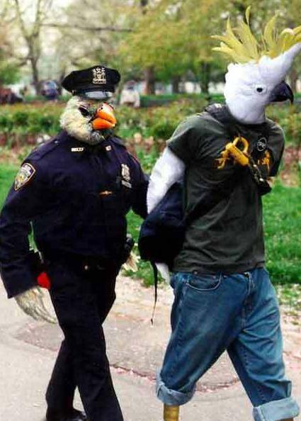 你们真的好帅啊 你们真的好帅啊