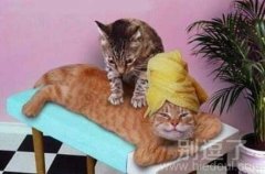 训练一下做按摩师吧 训练一下做按摩师吧