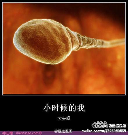 分享一下小时候的大头照 分享一下小时候的大头照