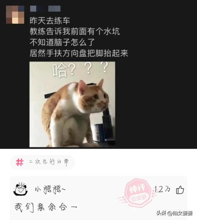 神回复：什么职业可以避免社交啊？