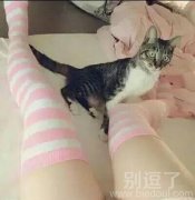 听说眼尖的人能看出亮点哦