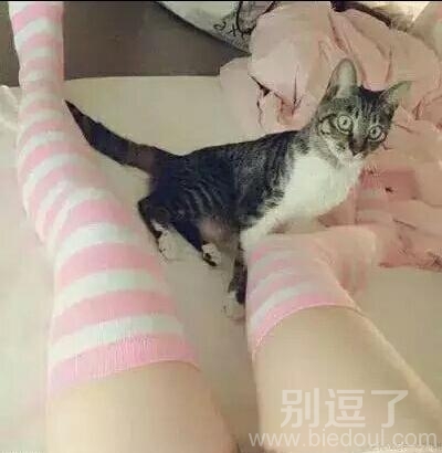 听说眼尖的人能看出亮点哦 听说眼尖的人能看出亮点哦