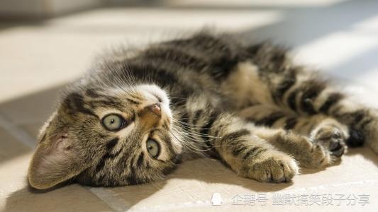 坐月子和月嫂住,深夜老公喊我,月嫂竟死捂住我的嘴 坐月子和月嫂住,深夜老公喊我,月嫂竟死捂住我的嘴