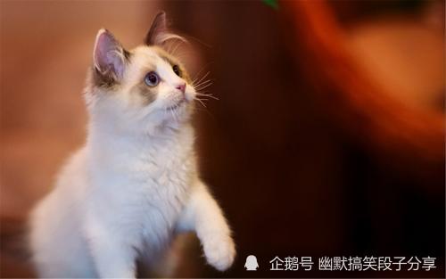 坐月子和月嫂住,深夜老公喊我,月嫂竟死捂住我的嘴 坐月子和月嫂住,深夜老公喊我,月嫂竟死捂住我的嘴