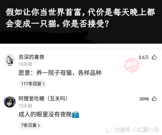 神回复:假如让你当世界首富,代价是每天晚上都会变成一只猫,你是否接受? 神回复:假如让你当世界首富,代价是每天晚上都会变成一只猫,你是否接受?