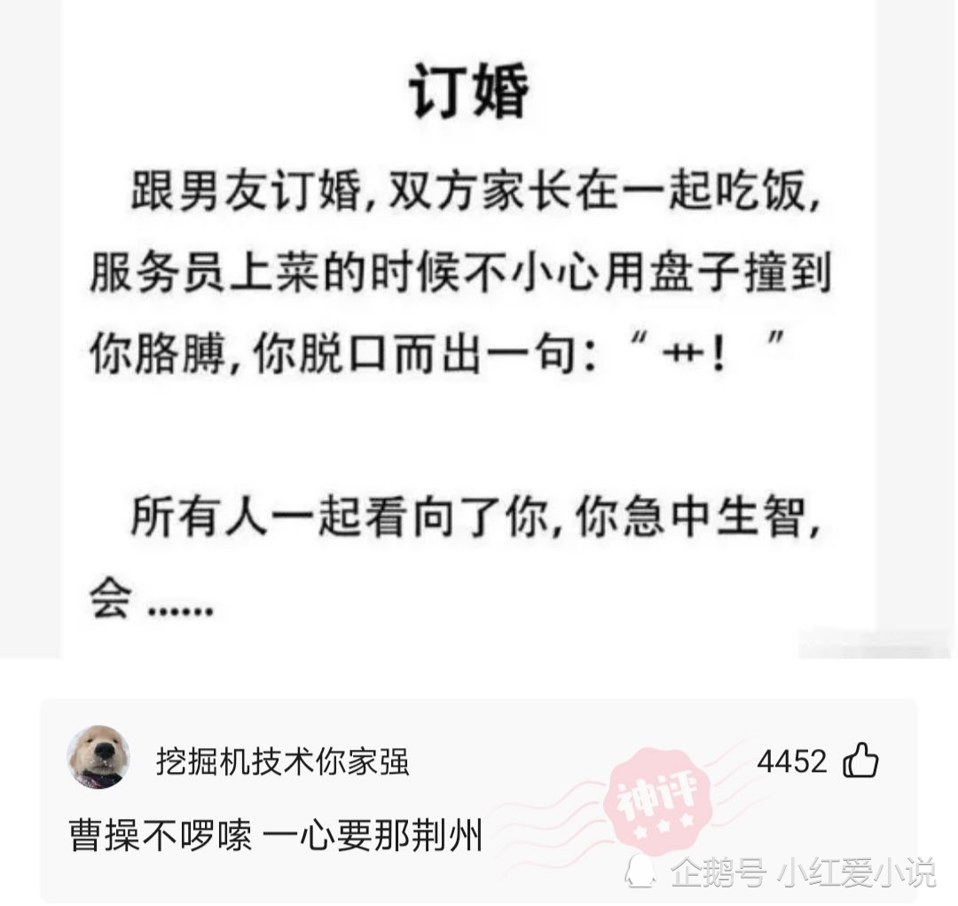 神回复：假如让你当世界首富，代价是每天晚上都会变成一只猫，你是否接受？