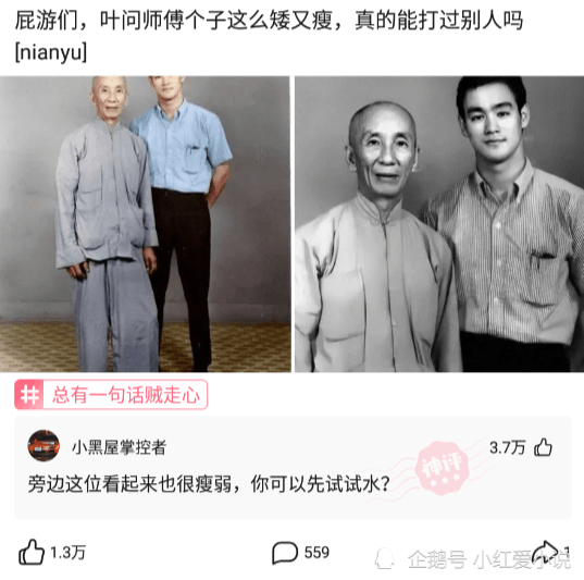 神回复：假如让你当世界首富，代价是每天晚上都会变成一只猫，你是否接受？