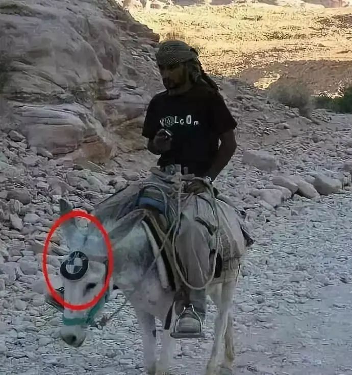 发几张不正经的照片给你看看,专治不开心~ 发几张不正经的照片给你看看,专治不开心~