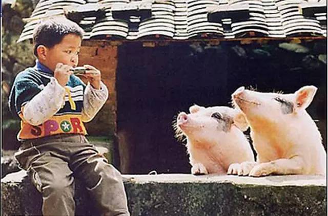 发几张不正经的照片给你看看,专治不开心~ 发几张不正经的照片给你看看,专治不开心~
