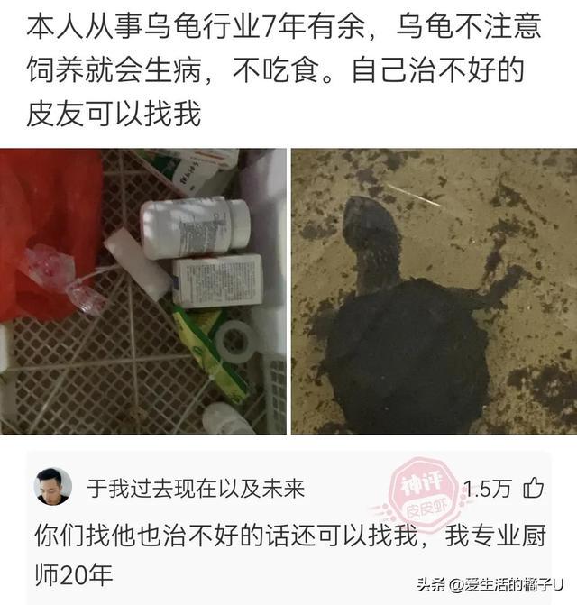 神回复:看得出来,她真的很爱吃绝味鸭脖 神回复:看得出来,她真的很爱吃绝味鸭脖