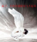 买你的翅膀却飞不起来！