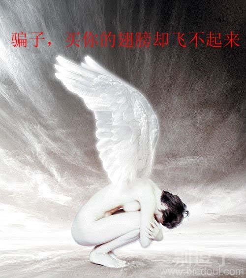 买你的翅膀却飞不起来！