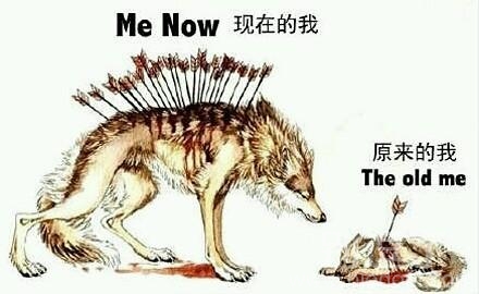 现在的我和原来的我。 现在的我和原来的我。