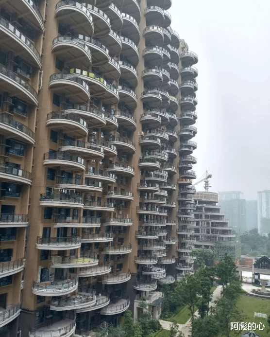 “被它咬了一口,应该没什么事吧?”哈哈哈躺好就行 “被它咬了一口,应该没什么事吧?”哈哈哈躺好就行