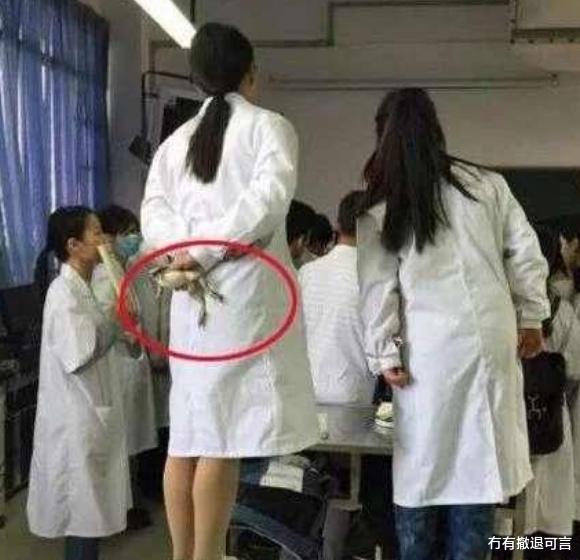 有哪些“性别限制你想象力”的事?哈哈哈哈,男人扳回一局 有哪些“性别限制你想象力”的事?哈哈哈哈,男人扳回一局