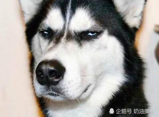 搞笑段子:老公和老婆在一个被子里睡觉,老公打了一个喷嚏,差点 搞笑段子:老公和老婆在一个被子里睡觉,老公打了一个喷嚏,差点