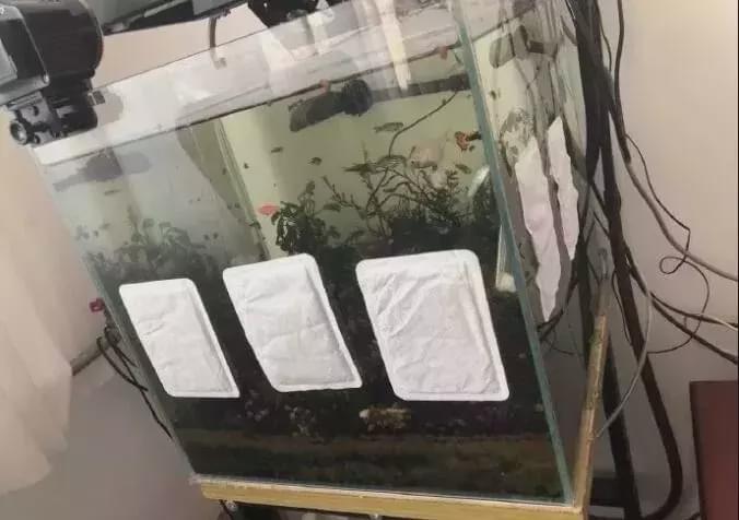 “停电了怕热带鱼冻死,给鱼缸贴了几个暖宝宝,结果…”哈哈哈哈 “停电了怕热带鱼冻死,给鱼缸贴了几个暖宝宝,结果…”哈哈哈哈