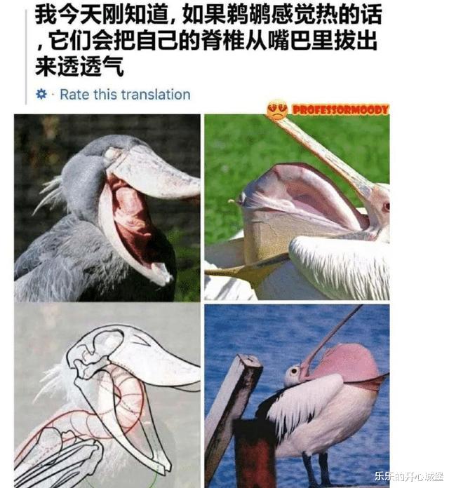 “嫂子给我介绍的女朋友,长得漂亮就是有点太瘦了...”哈哈哈哈哈我肉多啊~ “嫂子给我介绍的女朋友,长得漂亮就是有点太瘦了...”哈哈哈哈哈我肉多啊~