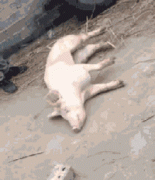 这是你撒娇时候的样子