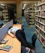 这是想睡一本书吗 这是想睡一本书吗