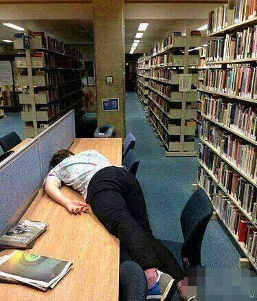 这是想睡一本书吗 这是想睡一本书吗