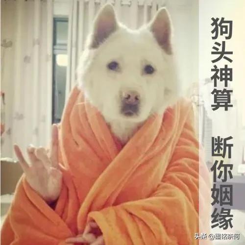 开心笑话:一个中国人,起什么洋名字,你俩婚事我不同意 开心笑话:一个中国人,起什么洋名字,你俩婚事我不同意