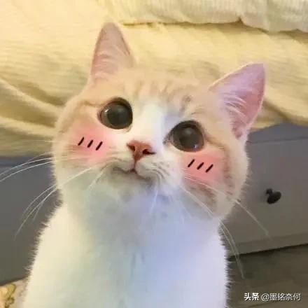 开心笑话:一个中国人,起什么洋名字,你俩婚事我不同意 开心笑话:一个中国人,起什么洋名字,你俩婚事我不同意