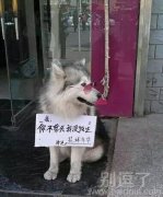 一个现成的招牌呀 一个现成的招牌呀