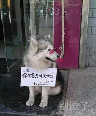 一个现成的招牌呀 一个现成的招牌呀