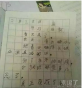小学生写的诗，有没有很棒