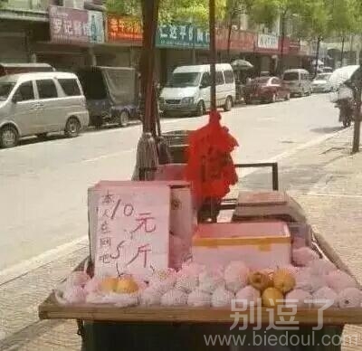 这老板心态真的很好