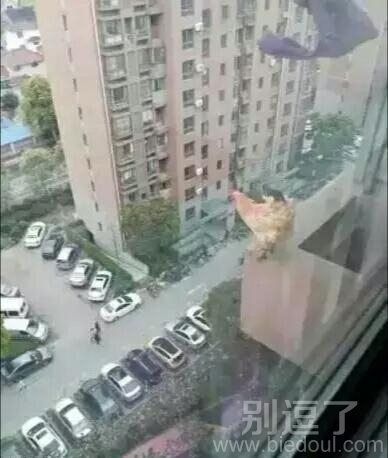 你是有什么想不开的吗