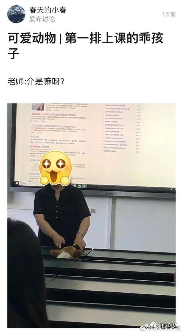 卖家看完求着删,哈哈哈哈哈哈哈哈哈 卖家看完求着删,哈哈哈哈哈哈哈哈哈