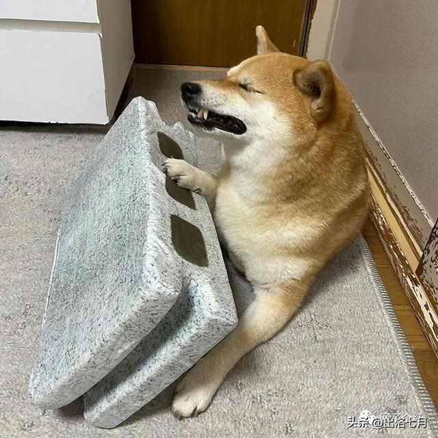 卖家看完求着删,哈哈哈哈哈哈哈哈哈 卖家看完求着删,哈哈哈哈哈哈哈哈哈