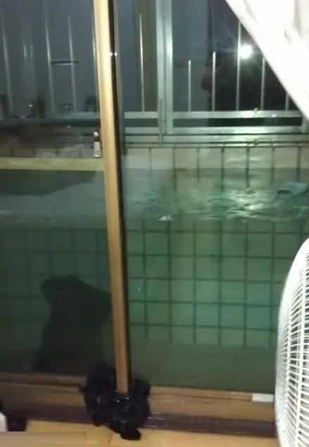 今天外面雨好大，我不敢开这落地窗了