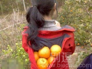 嘿！桔子掉了啊...