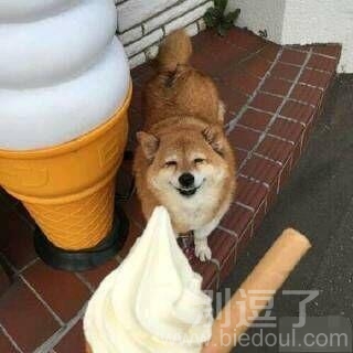 秋田君你的节操呢