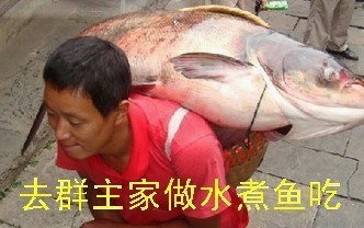 群主群主我爱你，就像老鼠爱玉米！你是最佳群主！