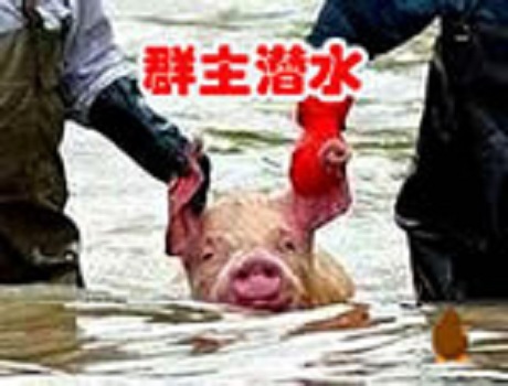 群主你出来！中秋节了群主找各种理由不出来！