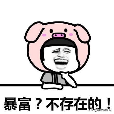 笑话:家里人说属狗的不好,属猪的还可以,我:长的像猪行不行 笑话:家里人说属狗的不好,属猪的还可以,我:长的像猪行不行