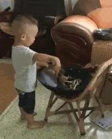 你个狗流氓,我媳妇你也敢调戏,看我削你 你个狗流氓,我媳妇你也敢调戏,看我削你