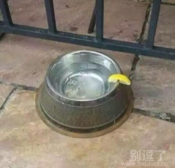 插一片柠檬果然很显逼格