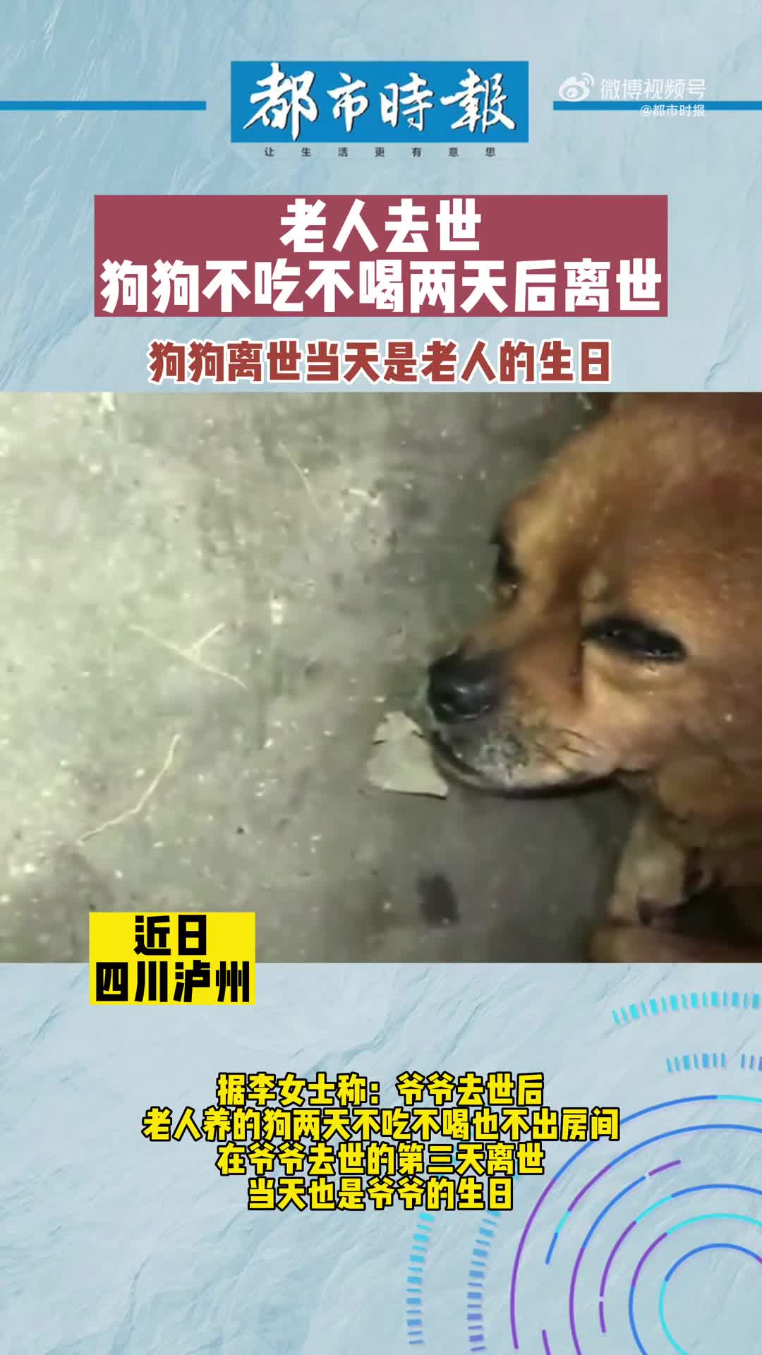 轻松一刻：古墓派避暑，专挑“阴气”重的地方