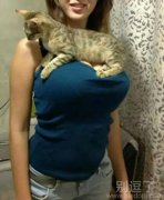 胸不大何以做猫奴 胸不大何以做猫奴