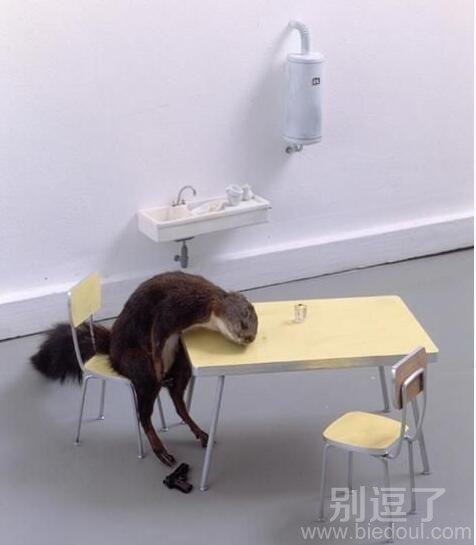 对生活绝望的松鼠