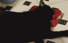 暑假期间的你 暑假期间的你